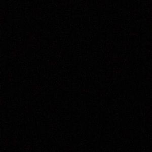 Meet your Posher, Ally